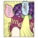 夫婦漫画【しょーもないver.】